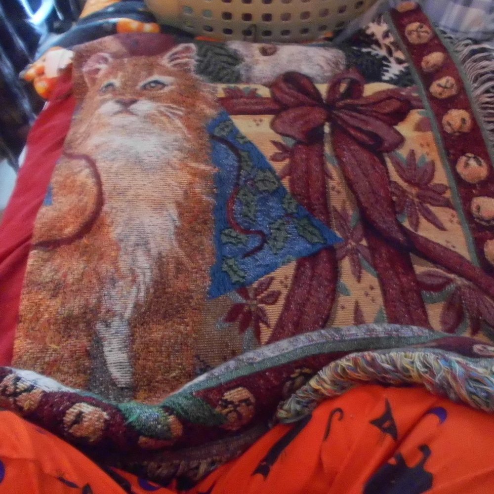 Christmas Cat throw blanket and Pillow set - Picture 4 of 4